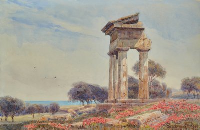 Templo de Castor e Pollux, Gorgenti de George Samuel Elgood