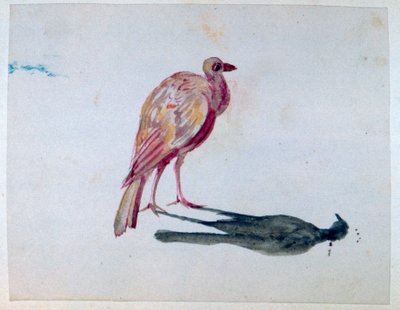 Pássaro, 1820-1876 de George Sand