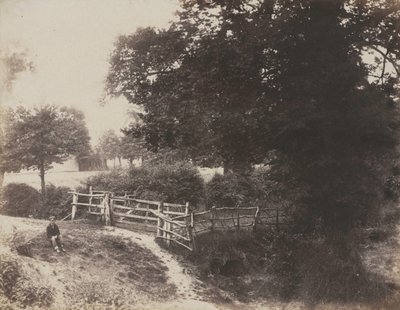Prados Verdes, 1854. de George Shadbolt