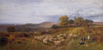 Paisagem extensa com um pastor e seu rebanho de ovelhas, Surrey (óleo sobre tela) de George Shalders