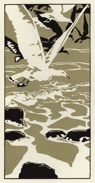 Da praia veio uma grande gaivota do mar branca (cor litho) de George Sheringham