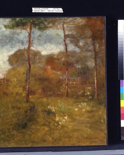 Orange Road, Tarpon Springs (óleo sobre tela) de George Snr. Inness