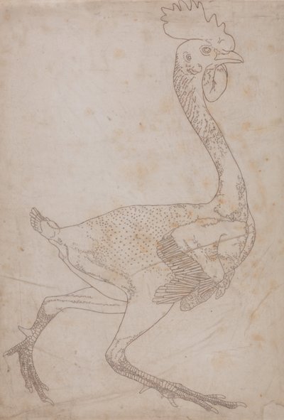 Uma exposição anatómica comparativa da estrutura do corpo humano com a de um tigre e de uma galinha comum: Corpo de galinha, vista lateral (provavelmente preparado para ser transferido para a placa para gravar a figura-chave da Tabela X) de George Stubbs