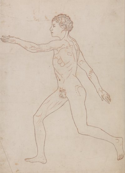 Uma exposição anatómica comparativa da estrutura do corpo humano com a de um tigre e de uma ave comum: Figura Humana, Vista Lateral (Esboço de Estudo no Verso da Tabela VIII) de George Stubbs