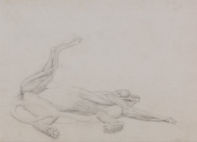 Uma exposição anatómica comparativa da estrutura do corpo humano com a de um tigre e de uma ave comum:  Corpo de tigre, reclinado, visto ventralmente de George Stubbs