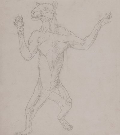 Uma exposição anatómica comparativa da estrutura do corpo humano com a de um tigre e de uma ave comum:  Corpo de tigre, em pé, em postura humana de George Stubbs
