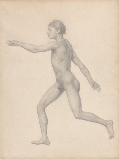 Uma exposição anatómica comparativa da estrutura do corpo humano com a de um tigre e de uma ave comum: Figura Humana, Vista Lateral, Não Dissecada (Estudo Finalizado para o Quadro VIII) de George Stubbs
