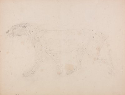 Uma exposição anatómica comparativa da estrutura do corpo humano com a de um tigre e de uma ave comum: Corpo do Tigre, Vista Lateral (Estudo dos músculos para o índice da Tabela IX) de George Stubbs
