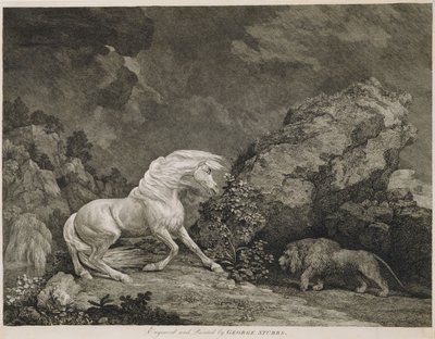 Um cavalo assediado por um leão, gravado pelo artista de George Stubbs