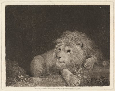 Um Leão [Um Leão em recesso] de George Stubbs