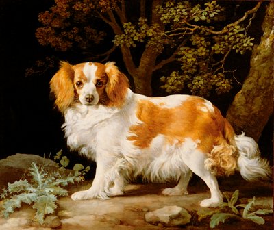 Um Fígado e Rei Branco Charles Spaniel numa paisagem arborizada de George Stubbs