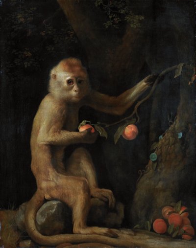 Um macaco de George Stubbs