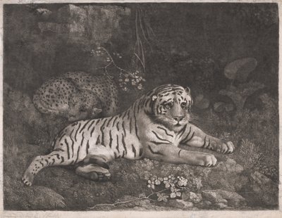 Um Tigre e um Leopardo Adormecido de George Stubbs