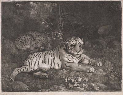 Um tigre e um leopardo adormecido de George Stubbs