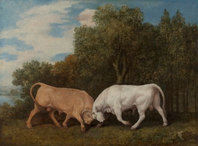 Luta de touros de George Stubbs
