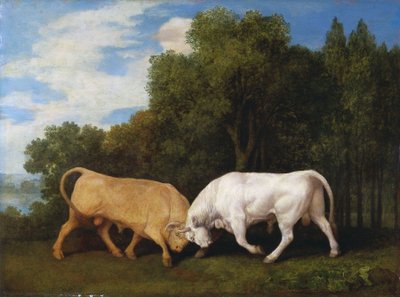 Touros de combate de George Stubbs