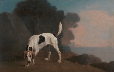 Foxhound de George Stubbs