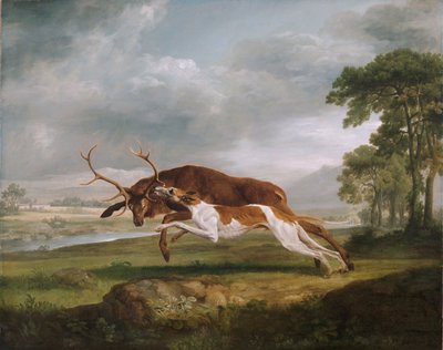 Cão correndo um veado de George Stubbs