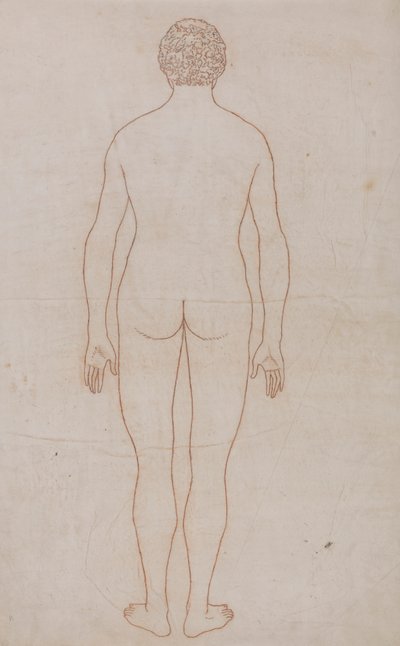Corpo Humano, Vista Posterior (Esboço do Desenho para o Quadro VII) de George Stubbs