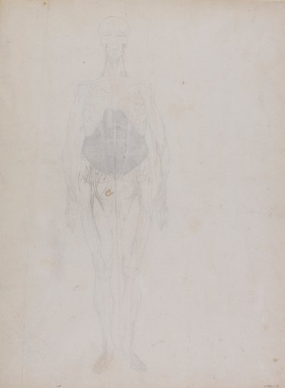 Figura Humana, Vista Anterior (Em grande parte em esboço) de George Stubbs