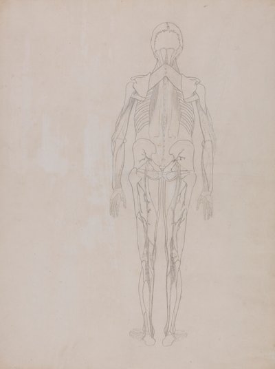 Figura Humana, Vista Posterior (Desenho de esboço para a figura chave de uma placa não publicada) de George Stubbs