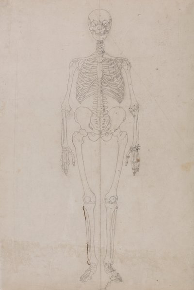 Esqueleto Humano, Vista Anterior (Estudo final) de George Stubbs