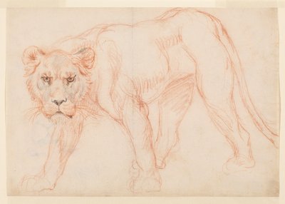 Leoa rondando, do século XVIII ou XIX de George Stubbs