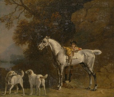 Estudos para ou após o The 3rd Duke of Richmond com o Charleton Hunt de George Stubbs