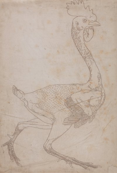 Estudo de uma ave, visão lateral, de uma exposição anatômica comparativa da estrutura do corpo humano com a de um tigre e uma ave comum, 1795-1806 (grafite e giz vermelho sobre papel) de George Stubbs