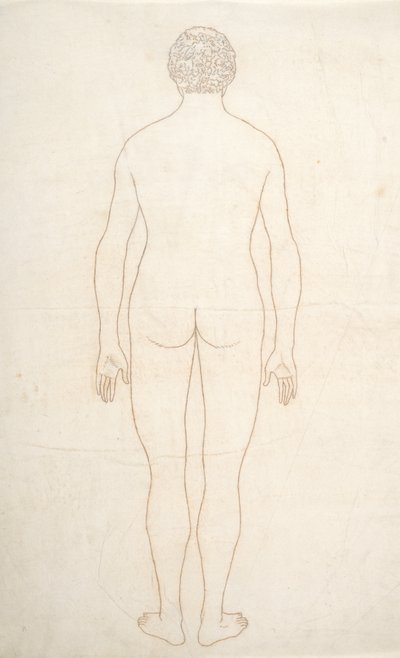 Estudo da figura humana, visão posterior, de uma exposição anatômica comparativa da estrutura do corpo humano com a de um tigre e uma ave comum, c.1795-1806 (tinta sobre papel) de George Stubbs