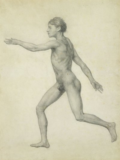 A Figura Humana Inteira da Esquerda, vista lateral, da série &39;Uma Exposição Anatômica Comparativa da Estrutura do Corpo Humano com a de um Tigre e uma Galinha Comum de George Stubbs