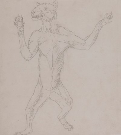 Corpo de Tigre, de Pé em Postura Humana de George Stubbs