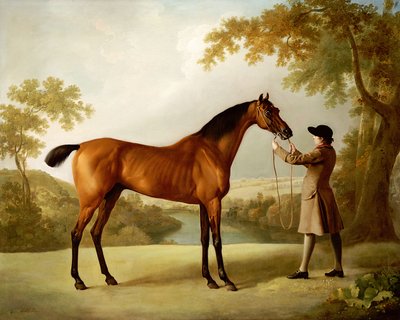 Tristram Shandy, um cavalo de corrida da baía realizado por um noivo em uma paisagem extensa, c.1760 de George Stubbs