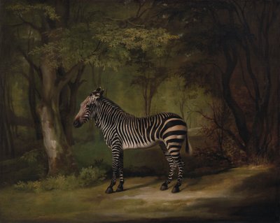 Zebra de George Stubbs