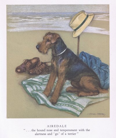 Airedale (litografia a cores) de George Vernon Stokes