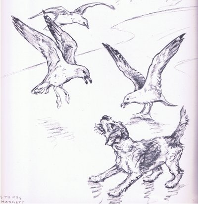 Rosie afasta as gaivotas, de Mudlarks publicado por Collins de George Vernon Stokes