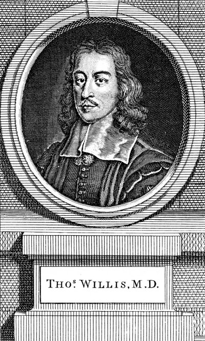 Thomas Willis, médico inglês do século XVII, 1742 de George Vertue
