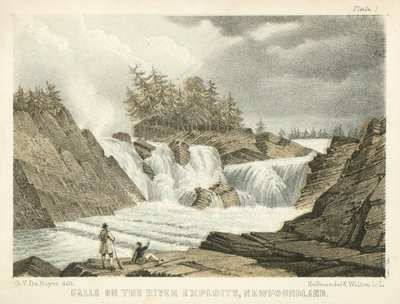 Quedas no rio Exploits, Terra Nova (gravura a cores) de George Victor Du Noyer