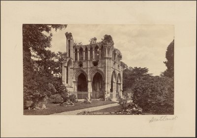 Abadia de Dryburgh de George Washington Wilson