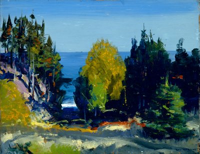 O Grove - Monhegan, 1911 de George Wesley Bellows