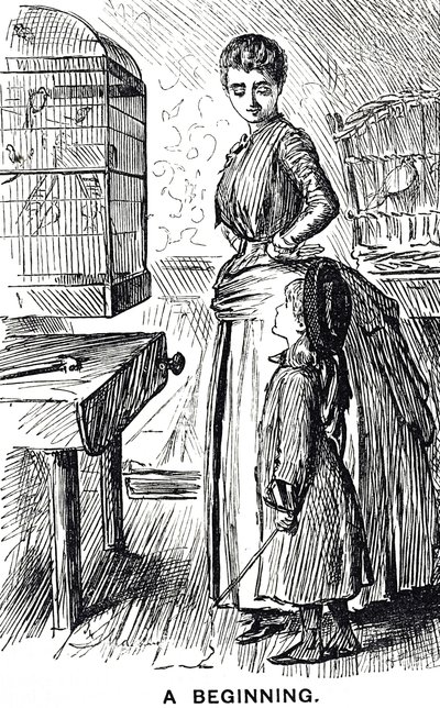 Comentário de banda desenhada sobre a popularidade das aves engaioladas na Grã-Bretanha de George du Maurier