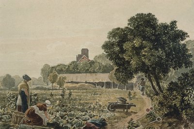 Market Garden no Chelsea de George the Younger Barret