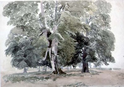 Estudo de Árvores (wc no papel) de George the Younger Barret