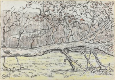 Árvore derrubada, Normandia de Georges Lacombe