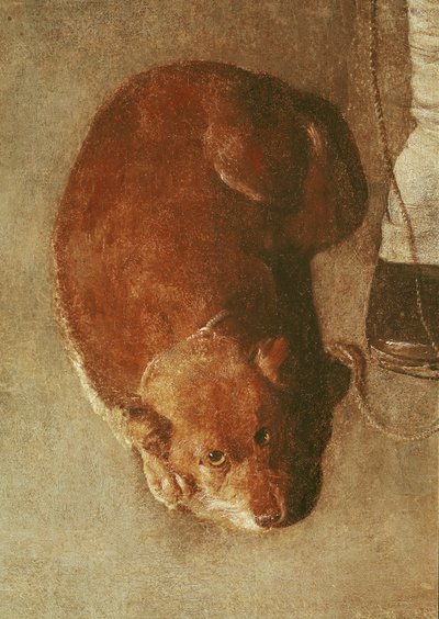O jogador Hurdy Gurdy com seu cachorro, c.1620 (detalhe) (ver também 67918) de Georges de La Tour