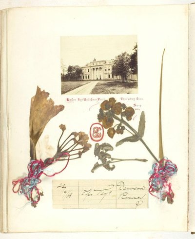 Sem título [vista de Broadlands com flores secas], 1868. de Georgina Cowper
