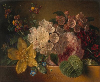Flores de Georgius Jacobus Johannes van Os