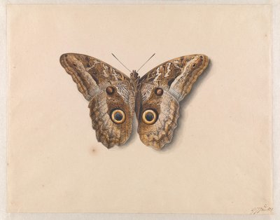 Uma capela de Georgius Jacobus Johannes van Os