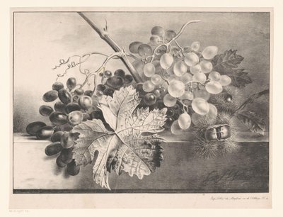 Natureza morta com uvas e castanhas de Georgius Jacobus Johannes van Os