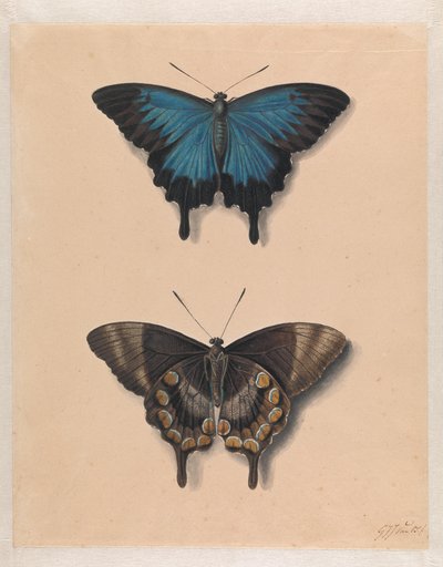 Duas capelas de Georgius Jacobus Johannes van Os